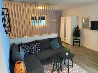 TV/Unterhaltungsangebot in der Unterkunft Apartment Spring Inn Studio by Interhome