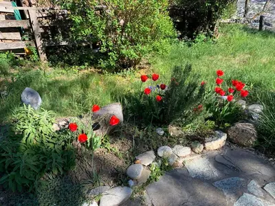 Ein Garten an der Unterkunft Holiday Home Malu in Ausserberg by Interhome