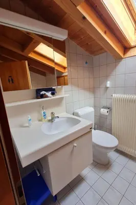 Ein Badezimmer in der Unterkunft Apartment Chalet Haus - bei Einfahrt grosser Nussbaum by Interhome