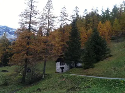 Naturlandschaft in der Nähe des Ferienhauses