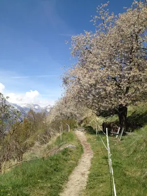 Naturlandschaft in der Nähe der Ferienwohnung