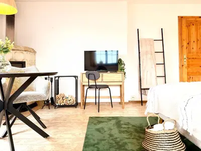TV/Unterhaltungsangebot in der Unterkunft Studio Lake View Faulensee