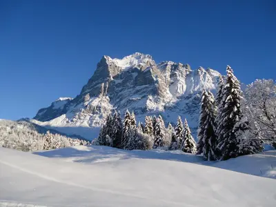 Ein allgemeiner Bergblick oder ein Berglick von der Ferienwohnung aus