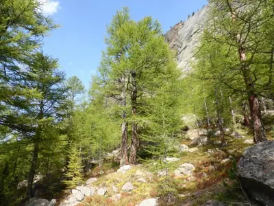 Naturlandschaft in der Nähe der Ferienwohnung