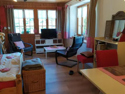 TV/Unterhaltungsangebot in der Unterkunft Apartment Bühlmann by Interhome