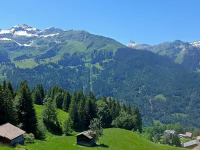 Naturlandschaft in der Nähe des Chalets