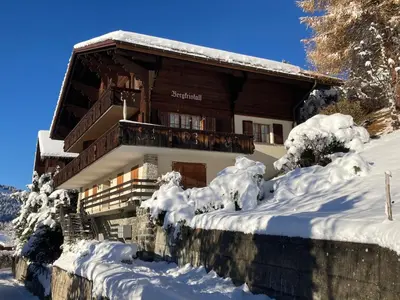 Apartment Bergkristall Apt- P by Interhome im Winter