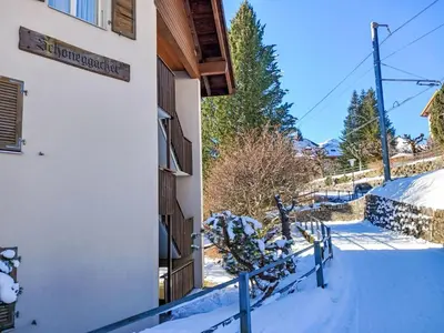 Apartment Schoneggacher Apt- S by Interhome im Winter