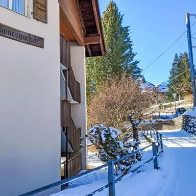 Apartment Schoneggacher Apt- S by Interhome