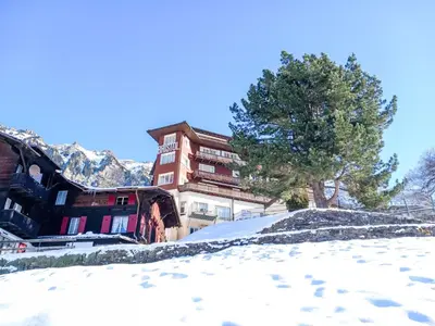 Ein allgemeiner Bergblick oder ein Berglick von der Ferienwohnung aus