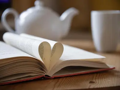 Die Bibliothek in der Ferienwohnung