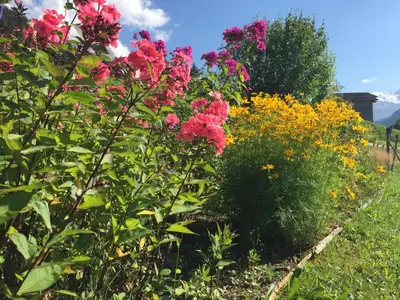 Ein Garten an der Unterkunft Staubbachbänkli