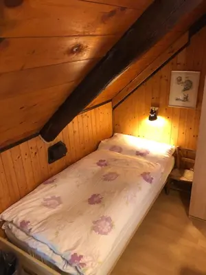 Ein Bett oder Betten in einem Zimmer der Unterkunft Cà dal Bosc e Cà sgrüscia