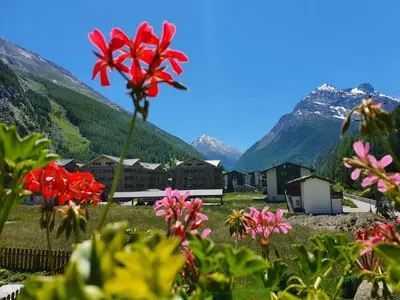 Naturlandschaft in der Nähe der Ferienwohnung
