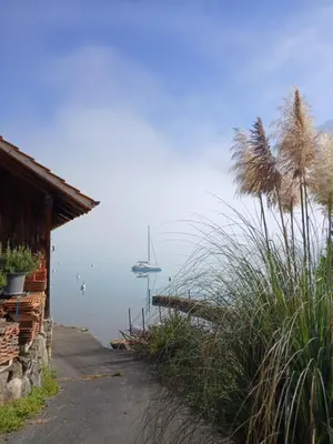 Naturlandschaft in der Nähe der Ferienwohnung