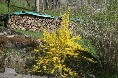 Grundriss der Unterkunft Beim See