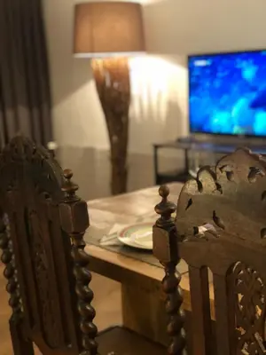 TV/Unterhaltungsangebot in der Unterkunft Fortuna
