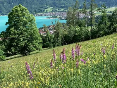 Naturlandschaft in der Nähe der Ferienwohnung