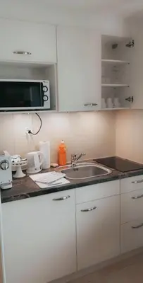 Küche/Küchenzeile in der Unterkunft Apartment Lala