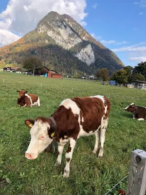 Naturlandschaft in der Nähe des Privatzimmers