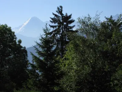 Naturlandschaft in der Nähe der Ferienwohnung