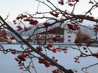 Naturlandschaft in der Nähe des Hotels