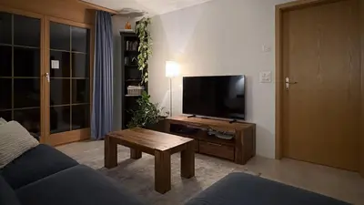 TV/Unterhaltungsangebot in der Unterkunft Family Frame Apartment