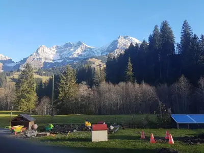 Grundriss der Unterkunft Chalet Wildbach
