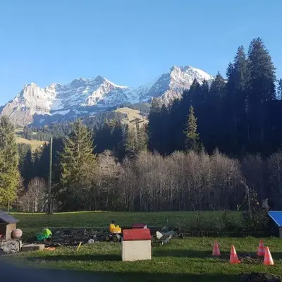 Chalet Wildbach