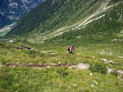 Naturlandschaft in der Nähe des Hostels