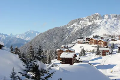 Chalet Enzian im Winter