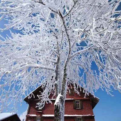Nature Escape in Kander Valley