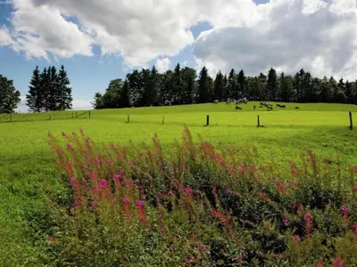 Naturlandschaft in der Nähe des Chalets