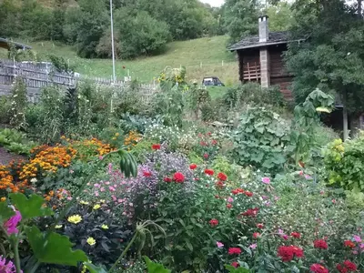 Ein Garten an der Unterkunft Charming Chalet Near Trails