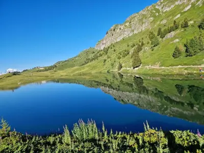 Naturlandschaft in der Nähe des Chalets