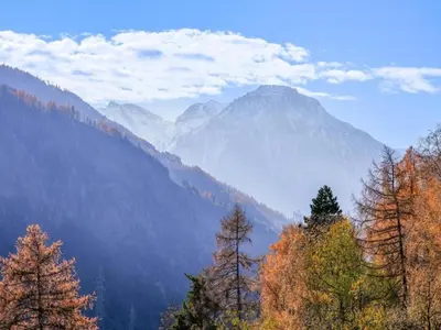 Naturlandschaft in der Nähe des Chalets