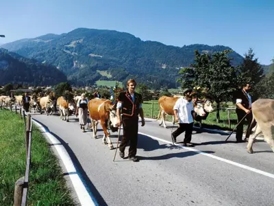Tiere im Ferienhaus oder in der Nähe