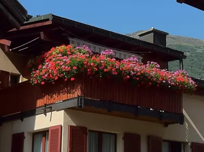 Ein allgemeiner Bergblick oder ein Berglick von des Bed & Breakfasts aus