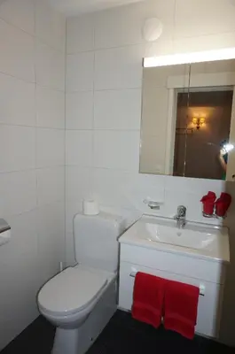 Ein Badezimmer in der Unterkunft Studio Willimann Haus Dala im 4 Stock