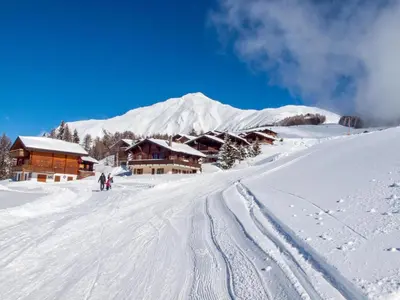 Chalet Gerbera im Winter