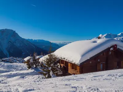 Chalet Fridi im Winter