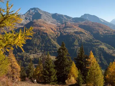 Naturlandschaft in der Nähe der Ferienwohnung