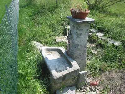 Ein Garten an der Unterkunft Casa in Königs GarteN