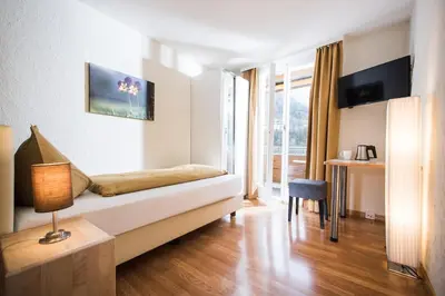 TV/Unterhaltungsangebot in der Unterkunft Jungfrau Hotel