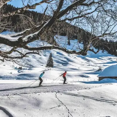 Hotel Alpenland