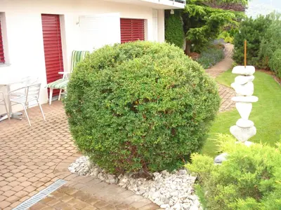 Ein Garten an der Unterkunft Ferienwohnung Lenggenhager Plantzette