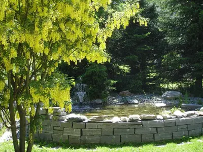 Ein Garten an der Unterkunft Hotel Ambiente