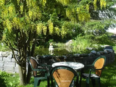 Ein Garten an der Unterkunft Ambiente Guesthouse