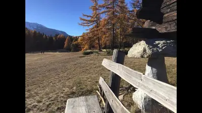Naturlandschaft in der Nähe der Ferienwohnung