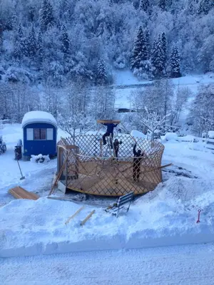 Evergrin im Winter